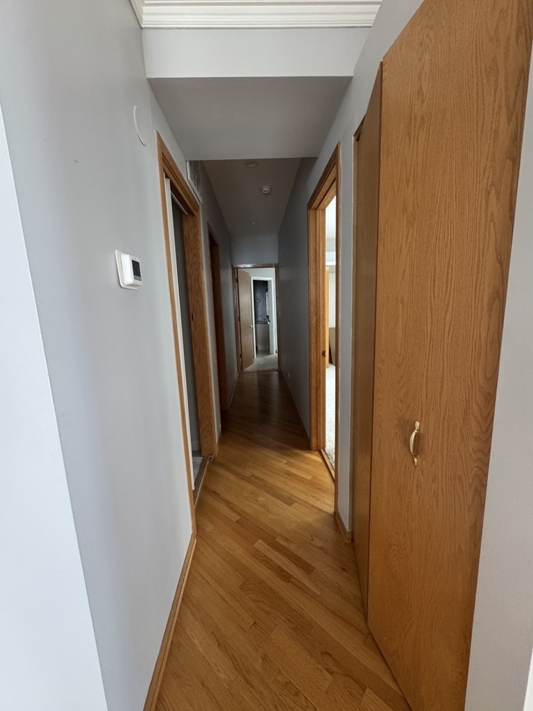 910 S Michigan Avenue - Photo 17