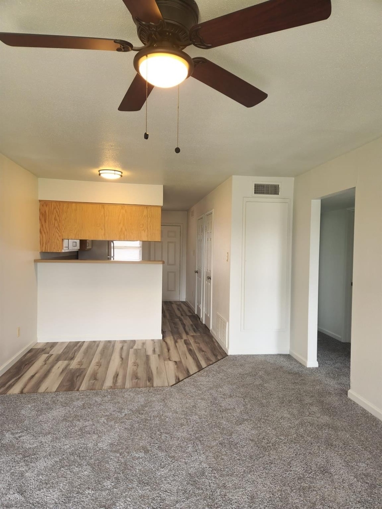 100 Lamar Street - Photo 1
