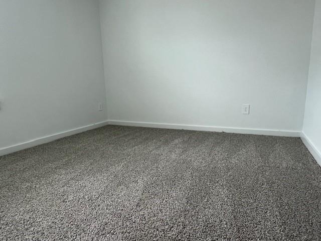 1006 Perezia Court - Photo 15
