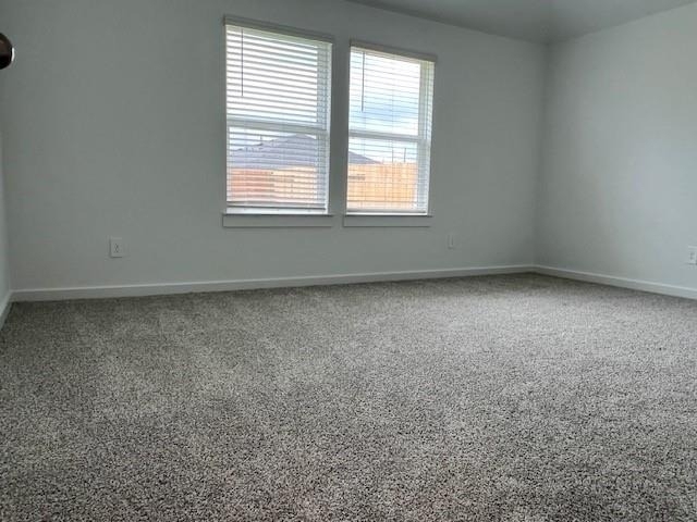 1006 Perezia Court - Photo 10