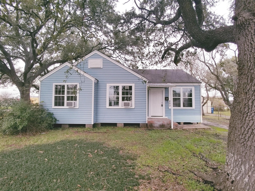 203 Beatrice Street - Photo 1