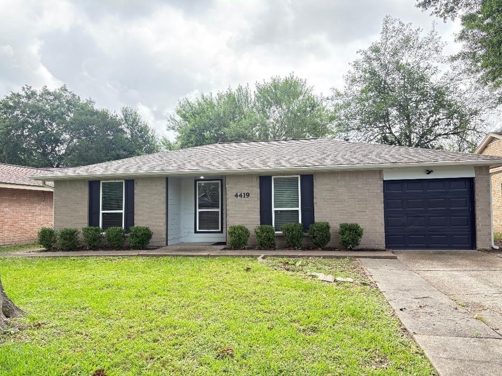 4419 Reynaldo Drive - Photo 1