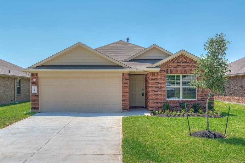 23603 Umbrella Pine - Photo 0