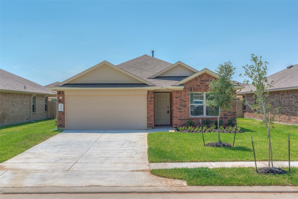 23603 Umbrella Pine - Photo 38