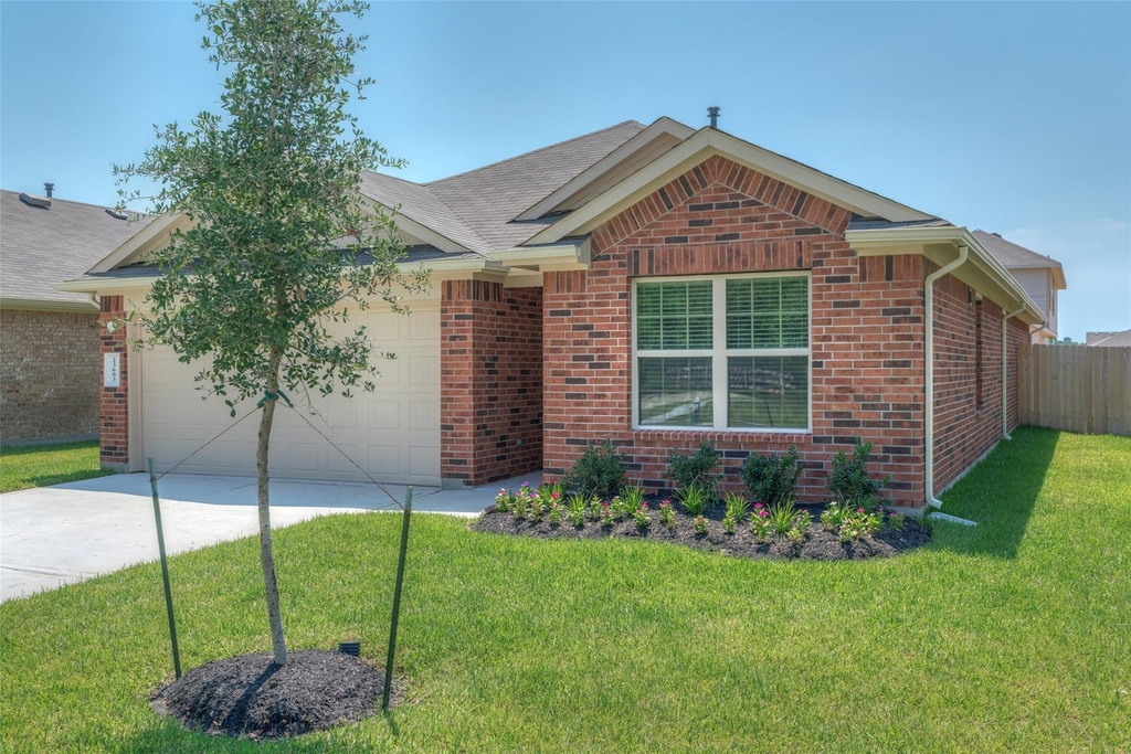 23603 Umbrella Pine - Photo 1