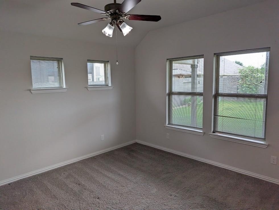 7020 Terra Lane - Photo 13