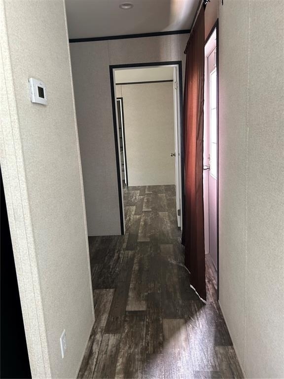 3204 Painters Street - Photo 6