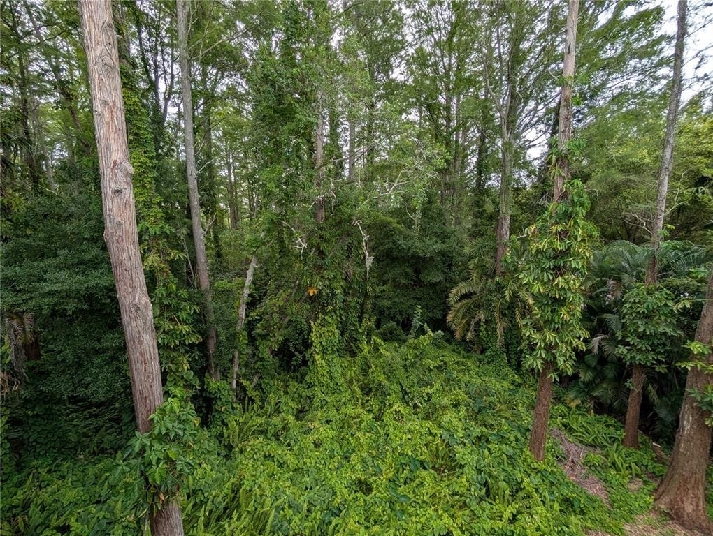 2577 Dolly Bay Drive - Photo 20