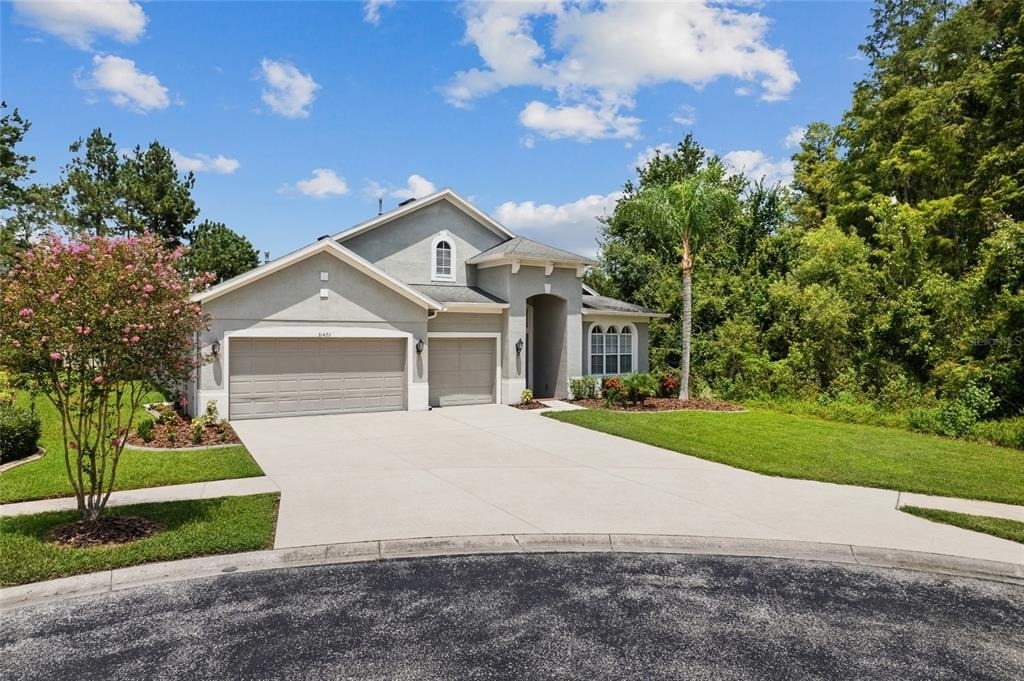 31421 Anniston Drive - Photo 1
