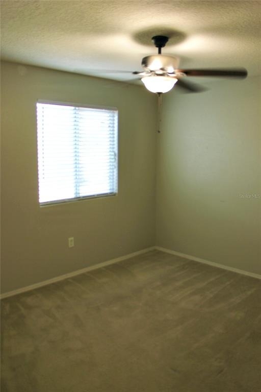 1017 Chalcedony Street - Photo 18