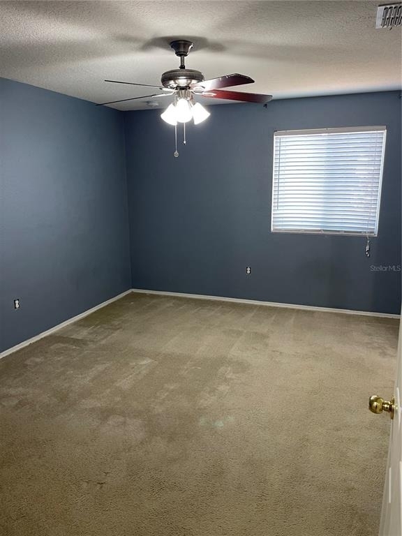 1017 Chalcedony Street - Photo 13