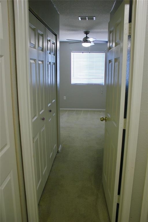 1017 Chalcedony Street - Photo 21
