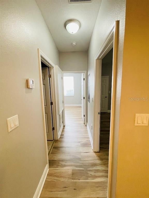 1601 Cumin Drive - Photo 12