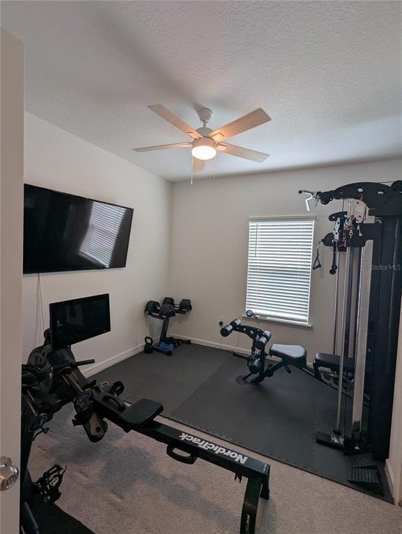 12568 Nw 138th Drive - Photo 50