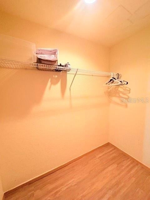 101 Palm Harbor Parkway - Photo 19