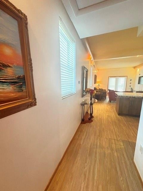 101 Palm Harbor Parkway - Photo 2