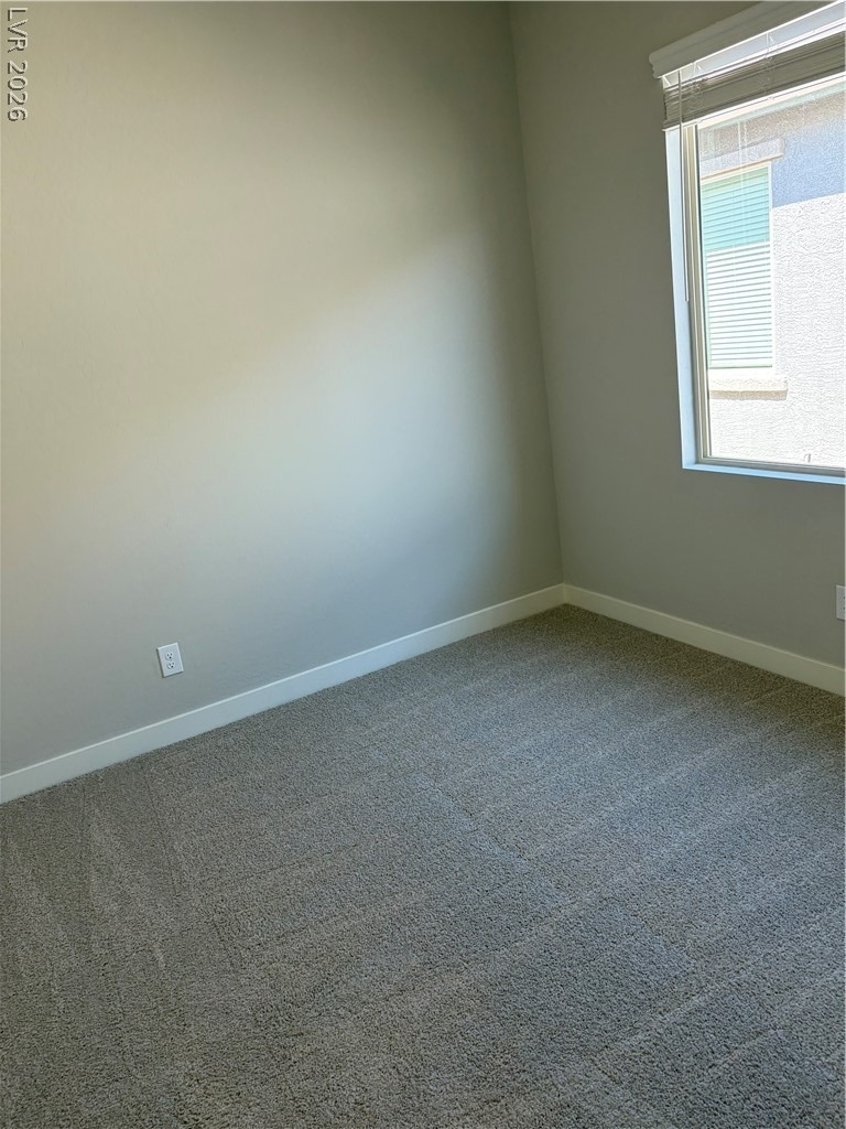 4456 Cave Lake Avenue - Photo 8