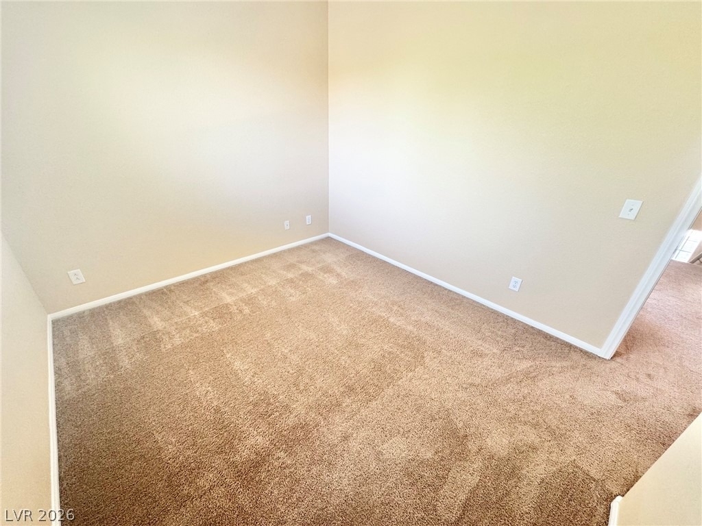 10424 Palm Village Street - Photo 20