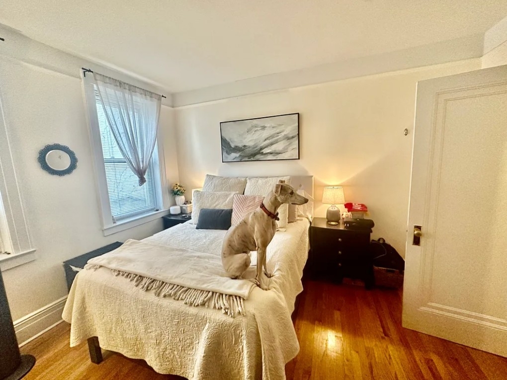 31-47 29th Street - Photo 6