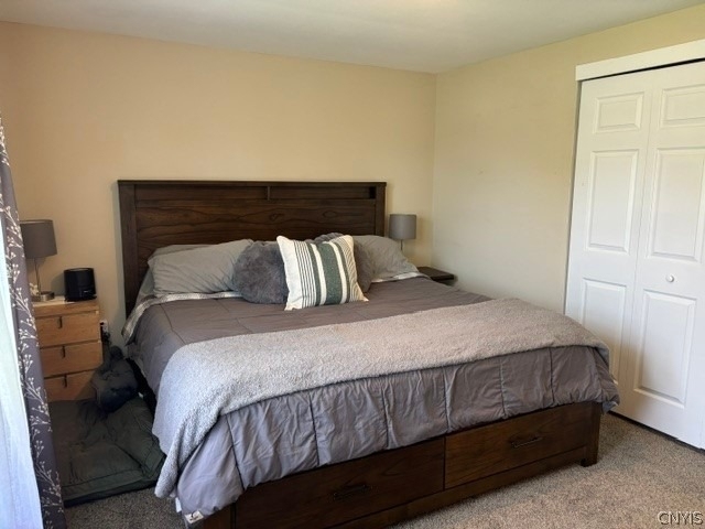 5963 Pony Lane - Photo 18