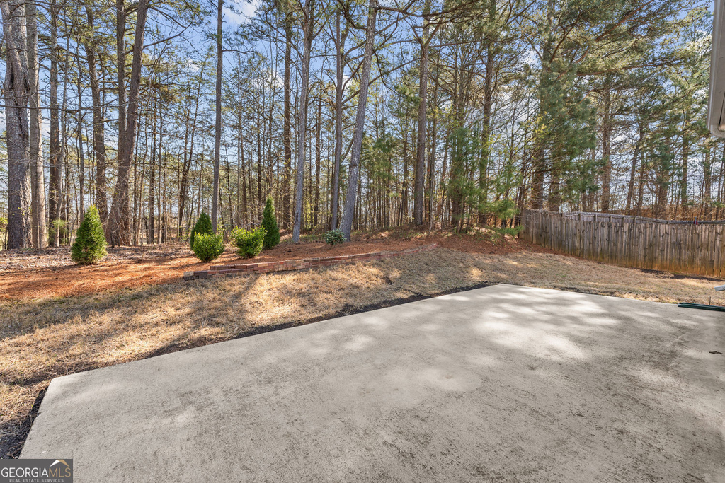 3329 Rosecliff Trace - Photo 61