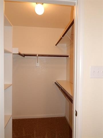4029 Saint Christian - Photo 10