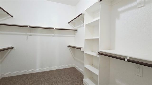 12381 Summertree Drive - Photo 14