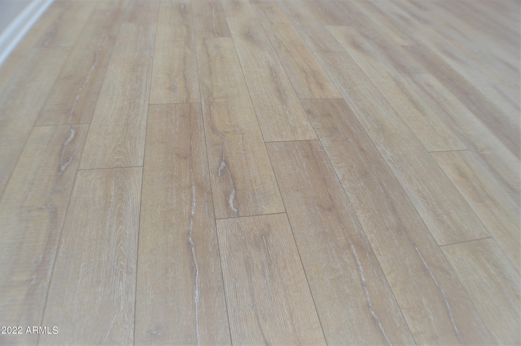 45666 W Tucker Road - Photo 2
