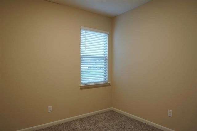 1823 Dahlia Way - Photo 30