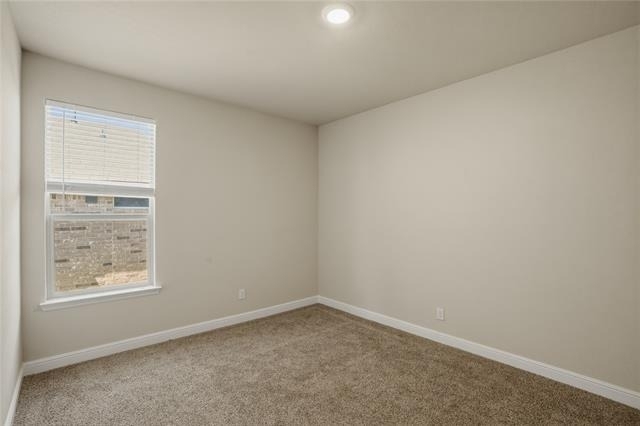 11536 Harp Lane - Photo 23