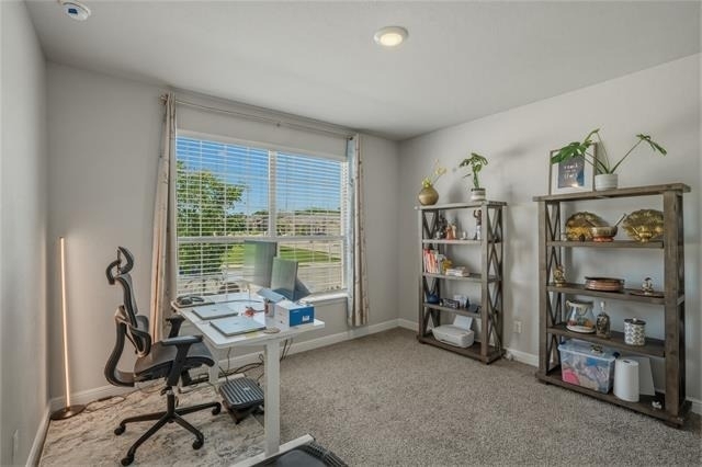 11536 Harp Lane - Photo 24