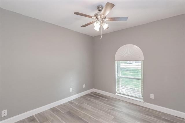 2013 Memphis Drive - Photo 12