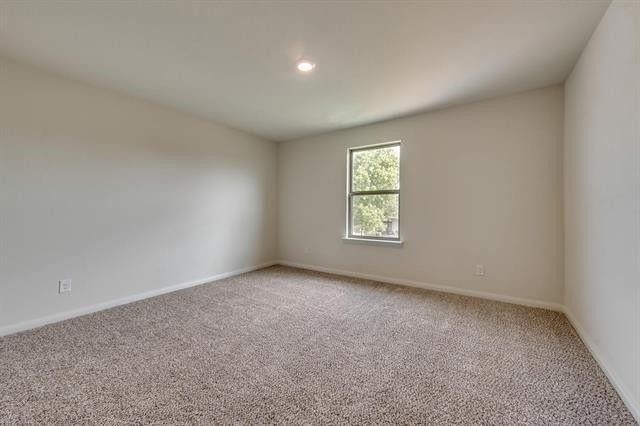 13609 Mineral Road - Photo 15