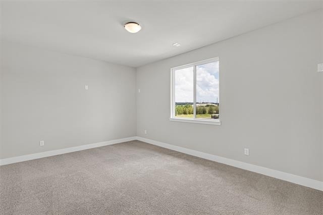 7245 Confetti Lane - Photo 18