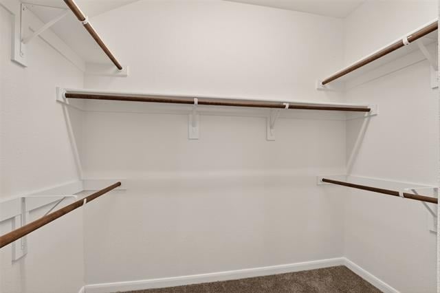 9105 Switchgrass Lane - Photo 11