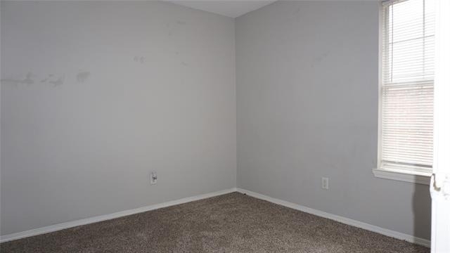 7819 Novella Drive - Photo 9