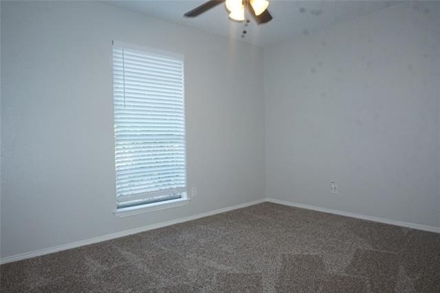 4704 Aspen Way - Photo 7