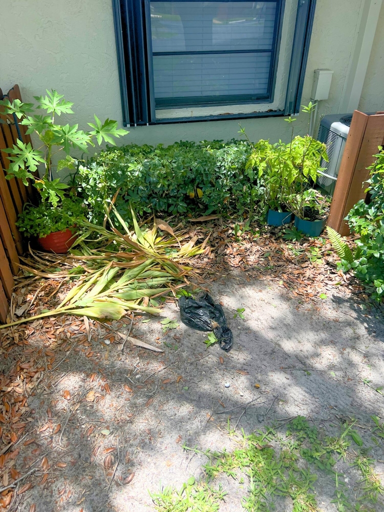 7382 Se Jamestown Terrace - Photo 36