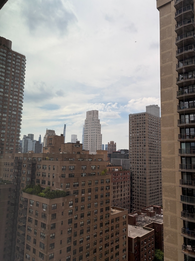 401 East 80th Street - Photo 6