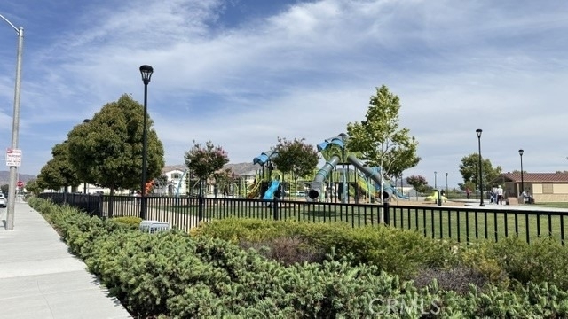 24832 Tiger - Photo 2