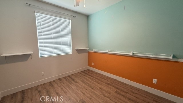 24832 Tiger - Photo 3