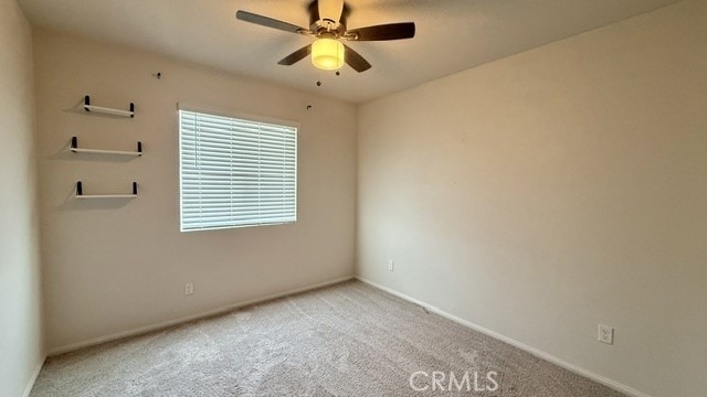 24832 Tiger - Photo 13