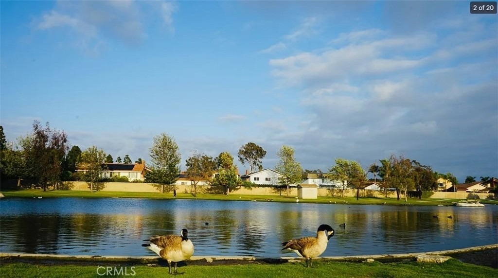 15596 Dawnson - Photo 19