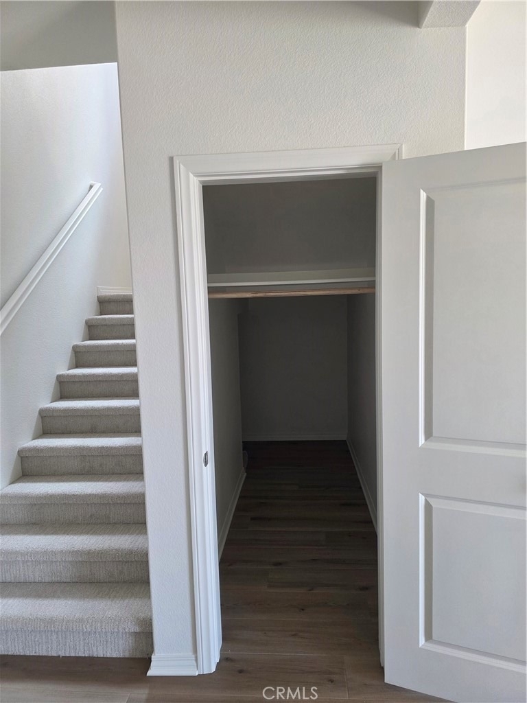 9667 Babaco Street - Photo 15