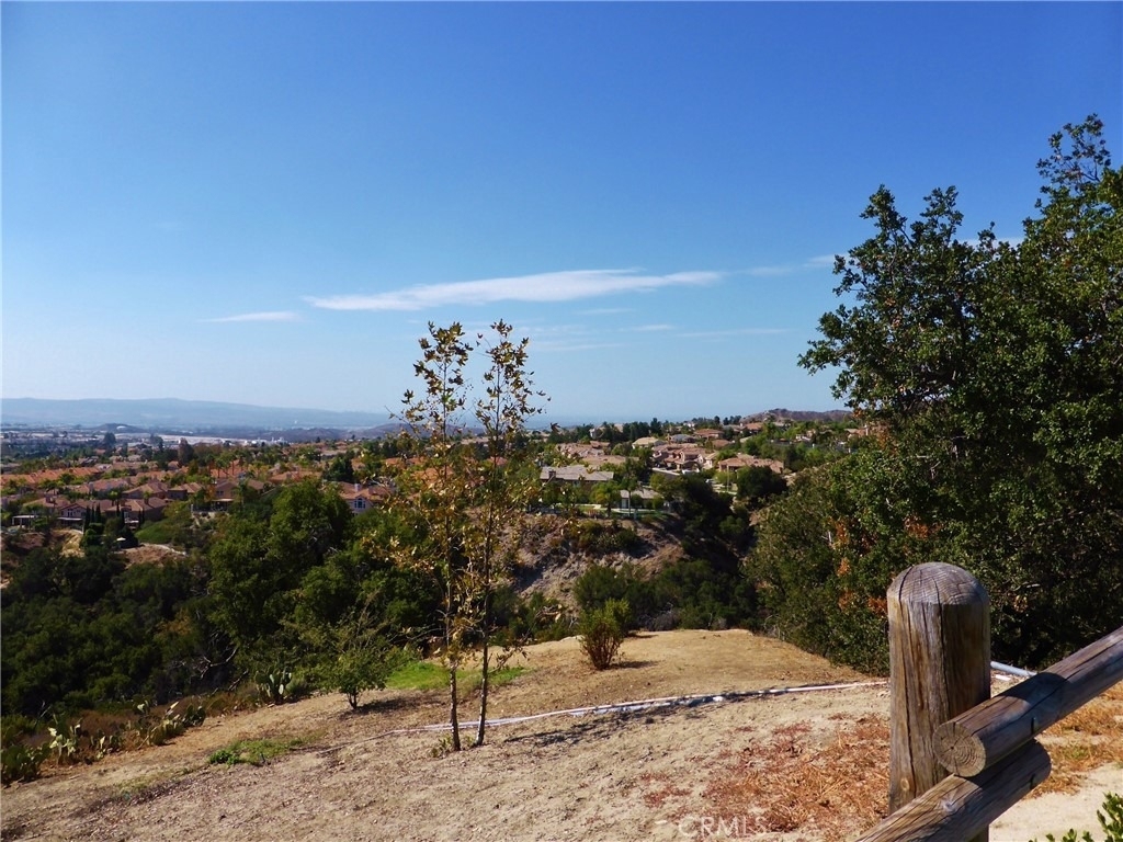 26161 Owl Court - Photo 28