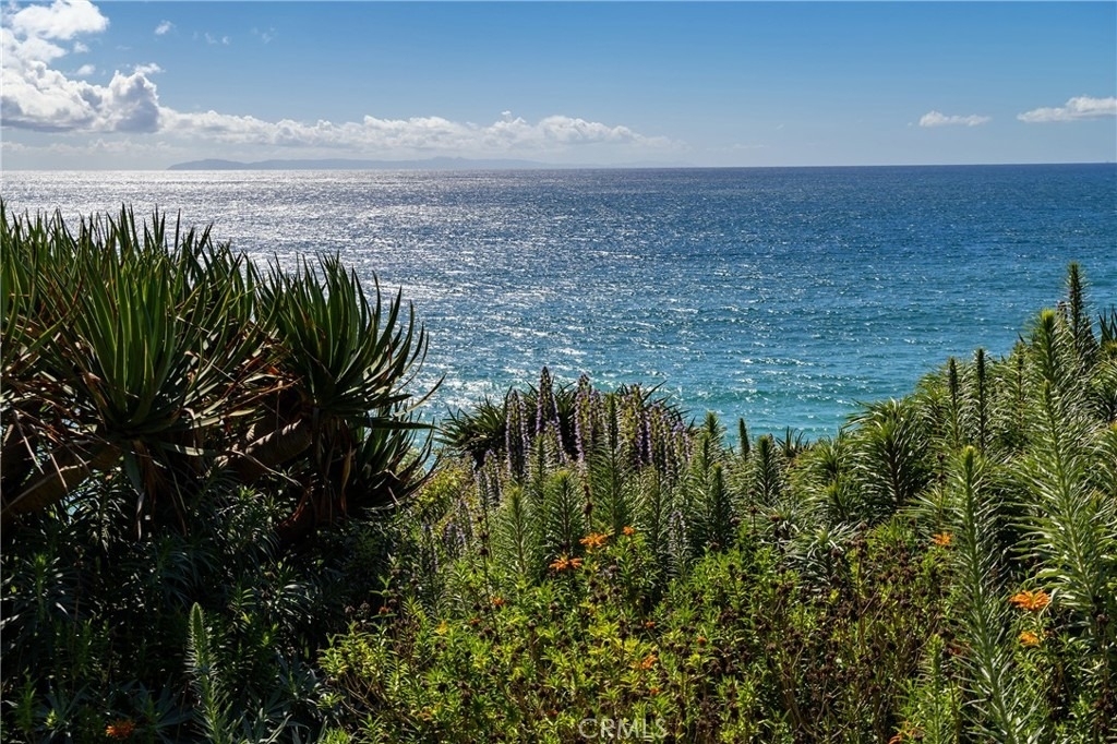 32227 Coast Hwy - Photo 11
