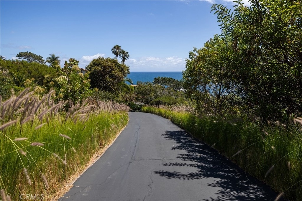 32227 Coast Hwy - Photo 1