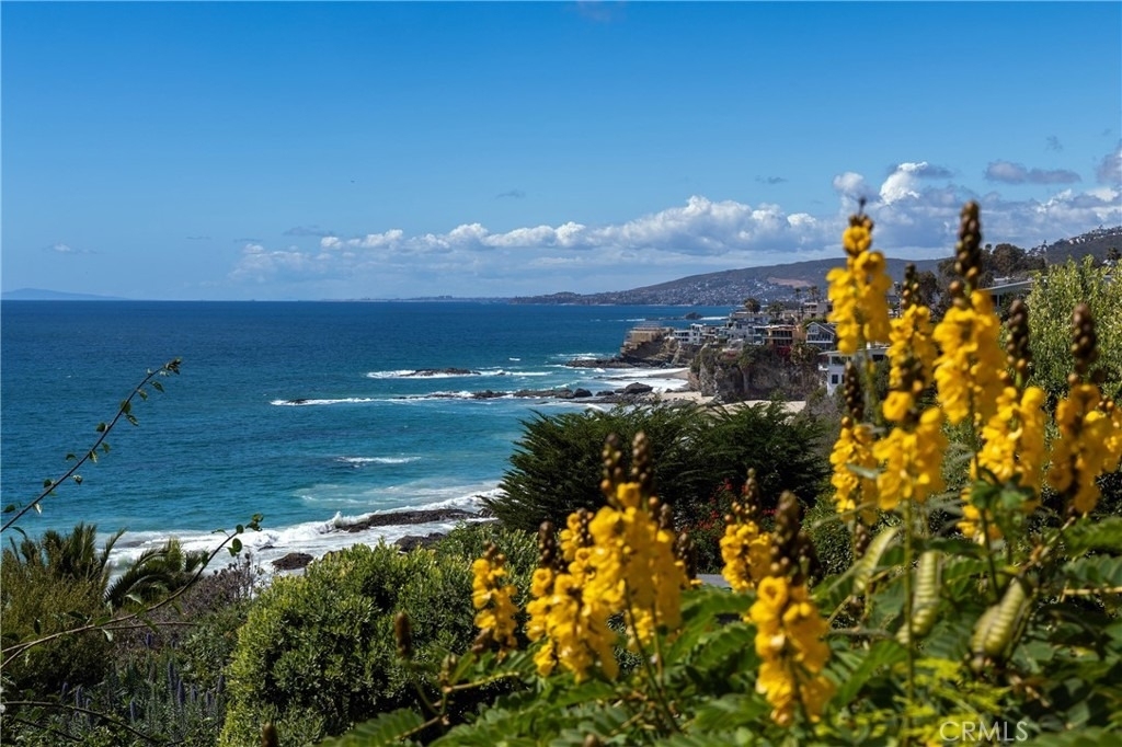 32227 Coast Hwy - Photo 41