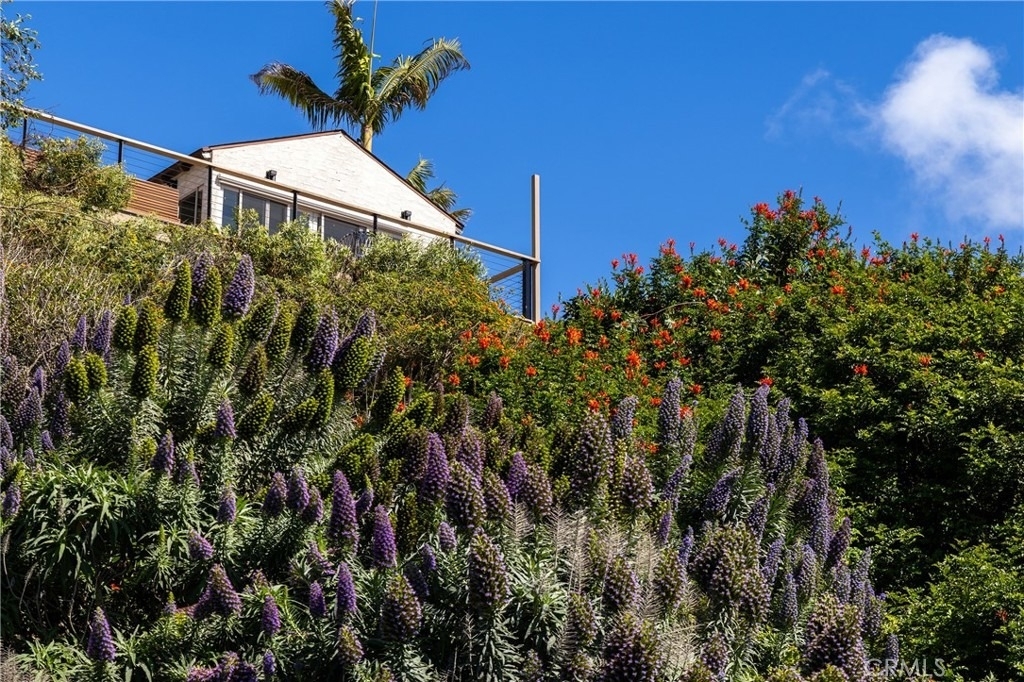 32227 Coast Hwy - Photo 49