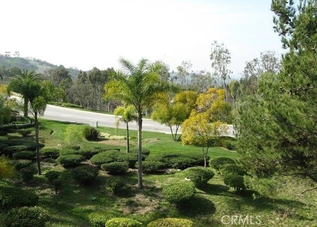 2087 Paseo Ambar - Photo 9